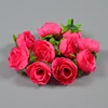 rose red