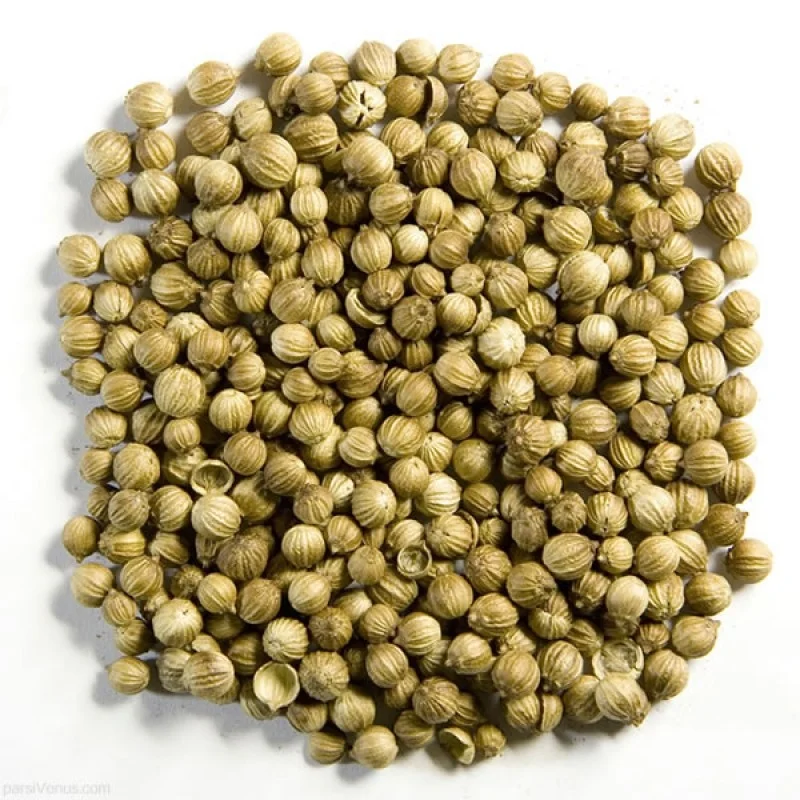 coriander seeds图片