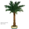 Palmera de coco
