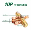 สัตว์ 10 ตัว