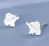 elefante
