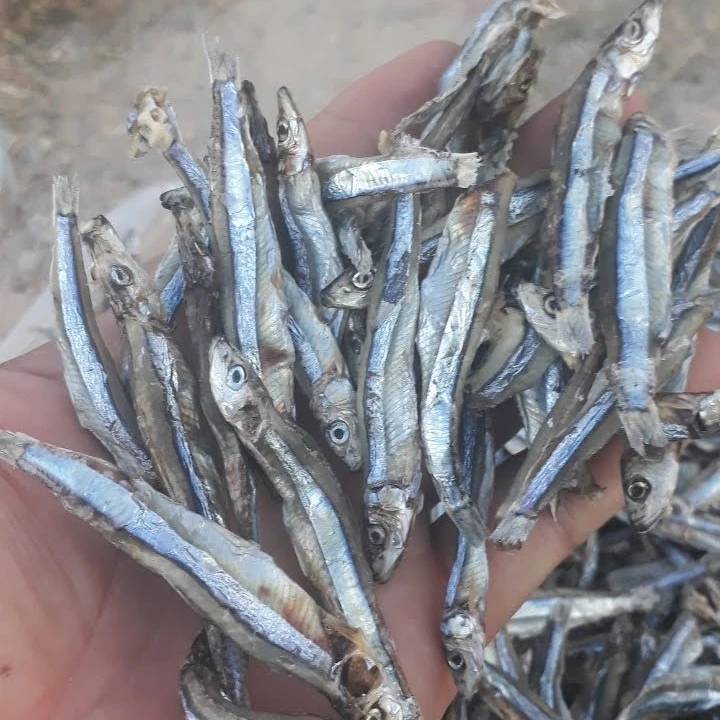 Dry Seafood Dried Fish Anchovy From Vietnam Cheap Price Oem Bulk Seafood(dot)linda(at)gmail