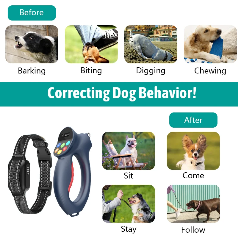 Rechargeable Remote Dog Training Collar with Modes OEM/ODM