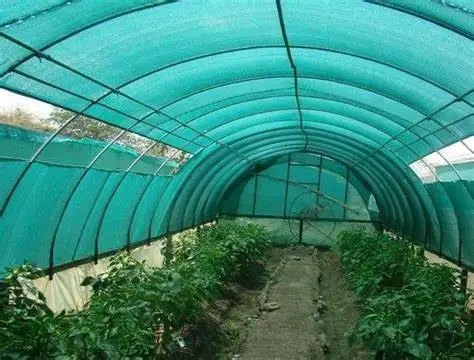 Green Net for Construction Use Green Shade Netting Shade Cloth for Plants