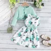 Verde DY42669A