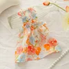 Orange-5