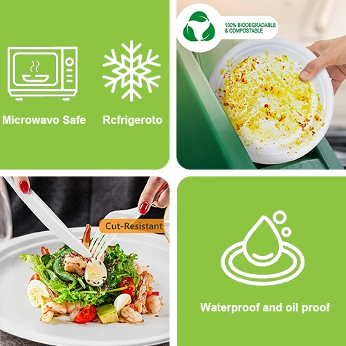 10 Inch Compostable Paper Plates Eco-Friendly Durable