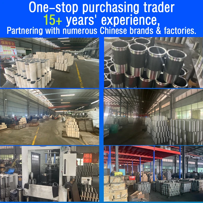 Machinery Engine Parts Diesel Injector for Caterpillar C6.4 C7.1 C9 C10  C13 C18 3406 3306 Nozzle Injector 326-4700