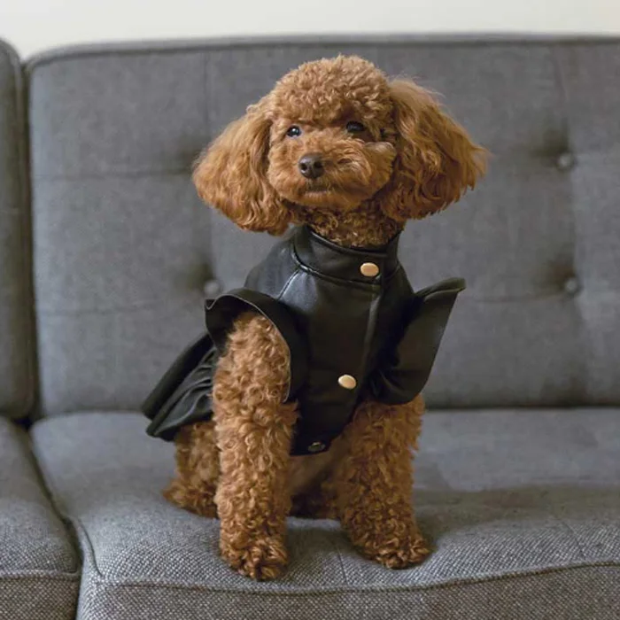 Fashion Spice Girl Biker Leather Pet Suit Dress Jacket Windbreaker Dog Clothing Coat