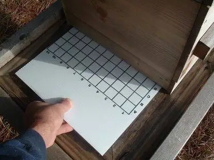 Beekeeping Equipment Varroa Mite Control Sticky Board Beehive Sticky Board Varroa Surveillance