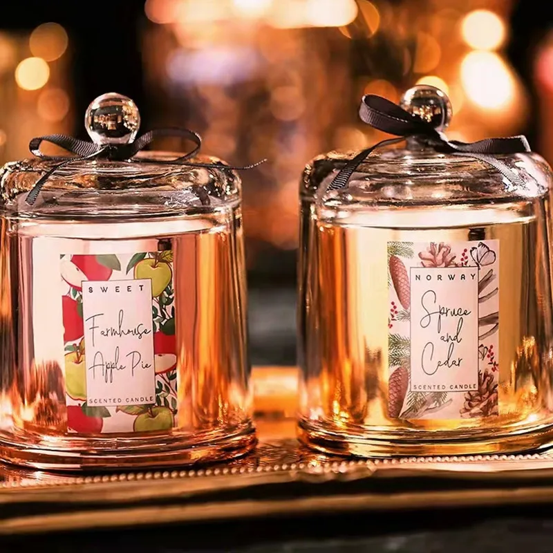 Горячая Распродажа, высокое качество, 730 мл пустые стеклянные банки для свечей и контейнер с крышкой, домашняя декоративная банка для свечей