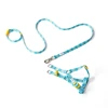 Conjunto de arnés y correa azul.