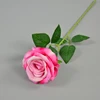 Pink 5