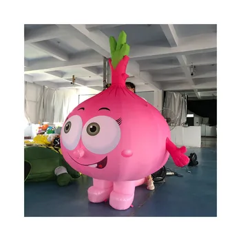 Vegetable Inflatable Mascot Costume Inflatables dragon fruit  Design Walking Cartoon Costumes