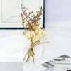 Beige et marron 2