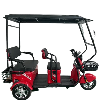 Electric Tricycles for Leisure