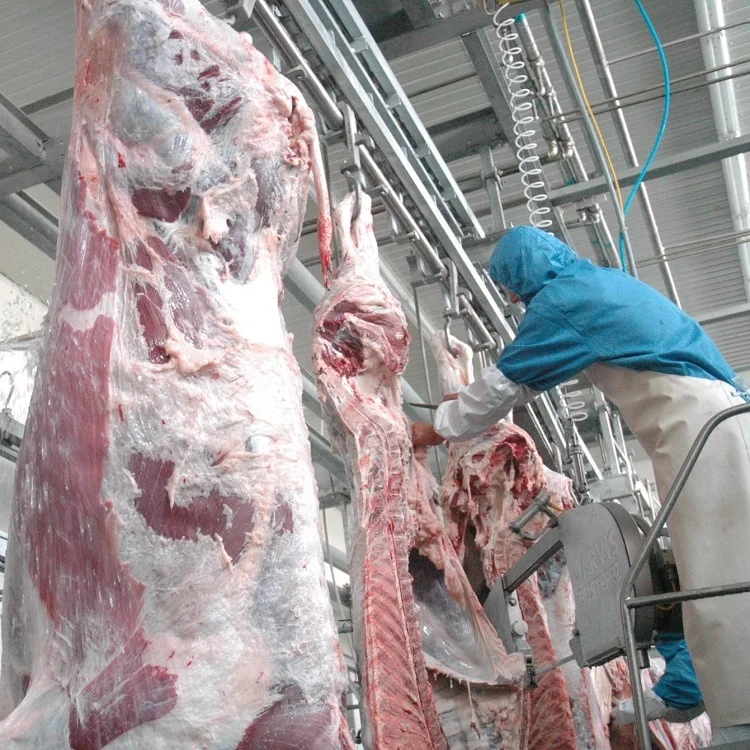 Beef automatic slaughterhouse processing equipment