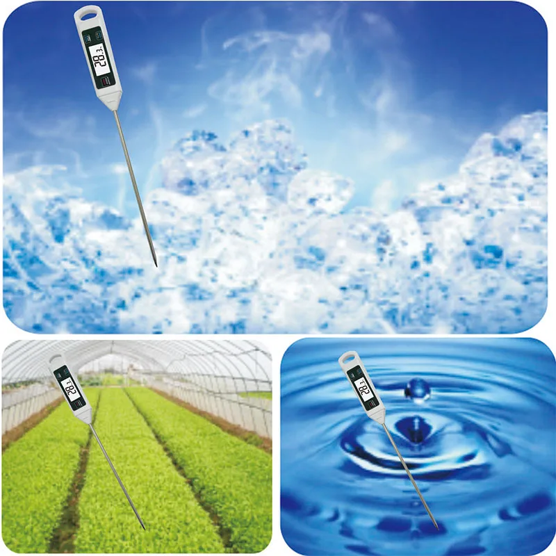 Digital Thermometer for Fruits and Vegetables