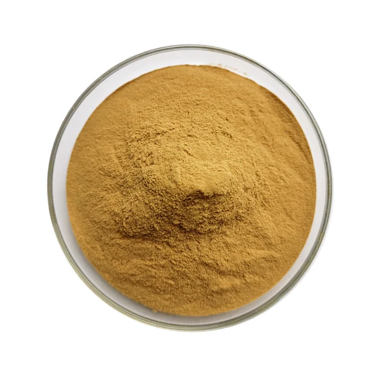 Pure Natural Xanthohumol Humulus Lupulus Hops Flower Extract Powder