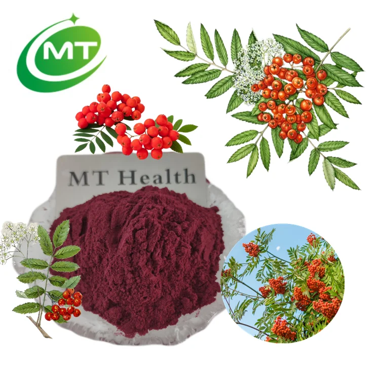 100%Pure Natural European Mountain Ash Powder Chokeberry Extract/High Quality Rowan Sorbus Aucuparia Extract