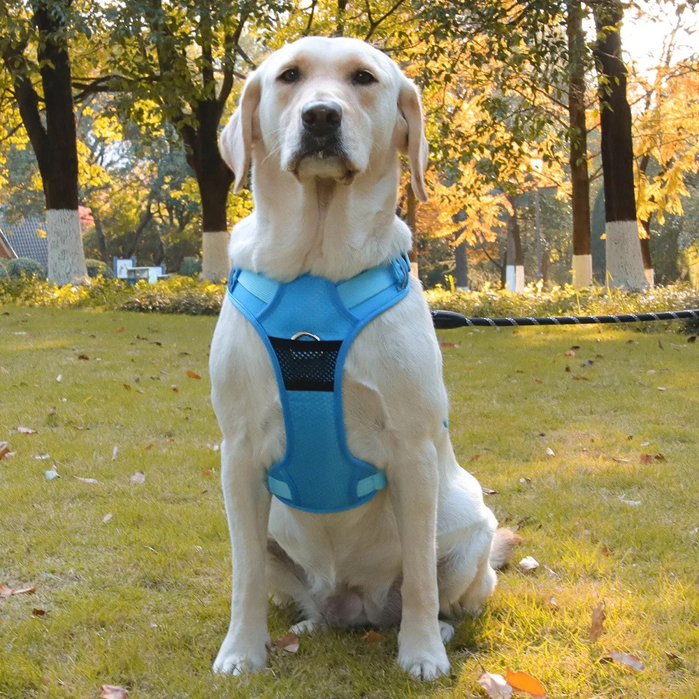 Dog Traction Rope Vest Pet Chest Strap Anti-breakaway Large Dog Chest Strap Reflective Dog Walking Rope