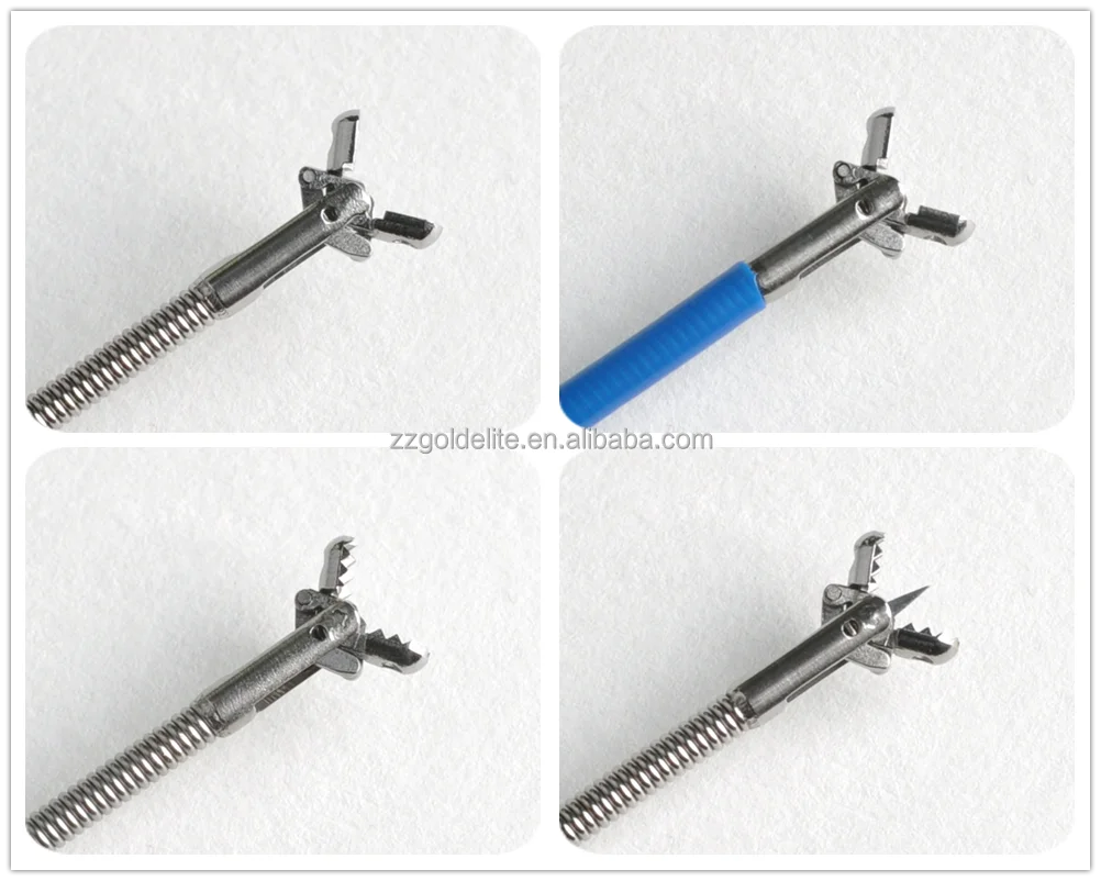 Endoscopy Biopsy Forceps Disposable Biopsy Forceps Manufactures Buy