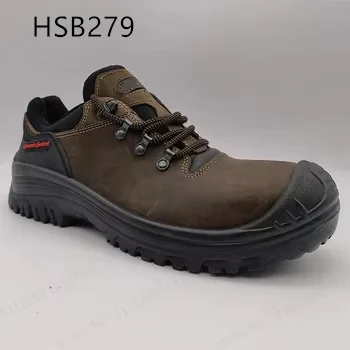 HSB279 (2).jpg