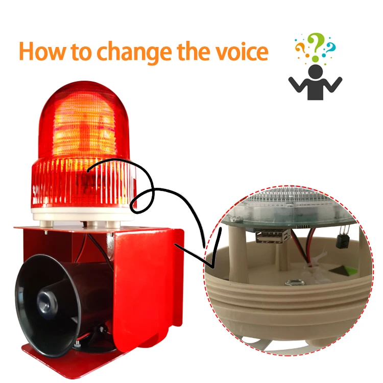 Change Voice