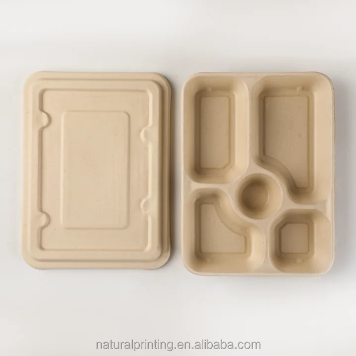 Disposable Meal Boxes Disposable Divided Lunch Boxes Pulp - Temu