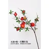 Large-branched nine-fruited pomegranate, red