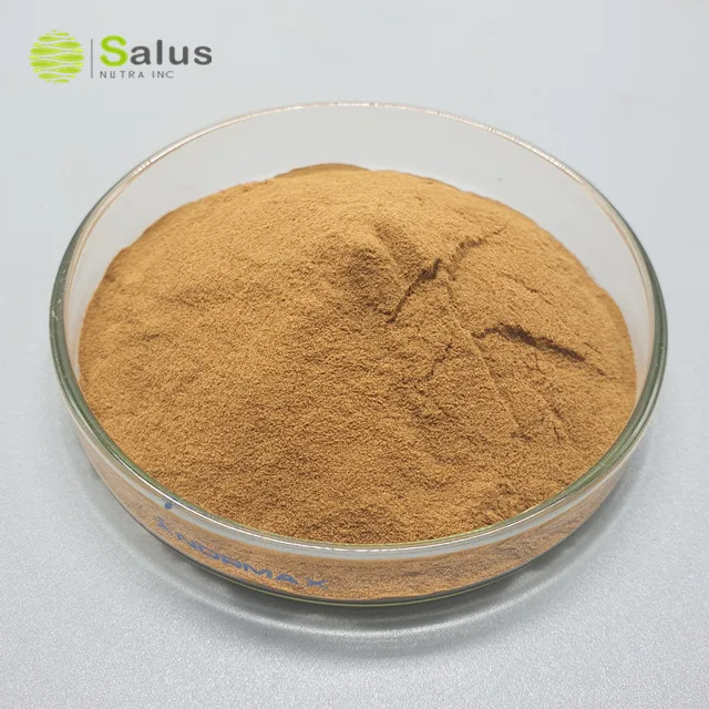 Экстракт грибов шишишика по лучшей цене