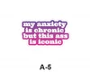 A5