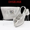 DHSB1468-7 SILVER