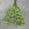 Blanco estrellado de 130 cm con doble punta.