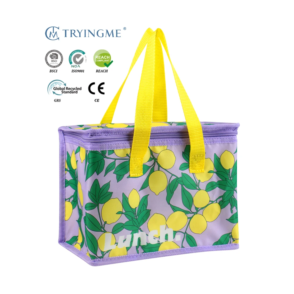 High Quality OEM Customized Insulated Lunch Bags for Family Eco-Friendly Outdoor Picnic Cooler Bag