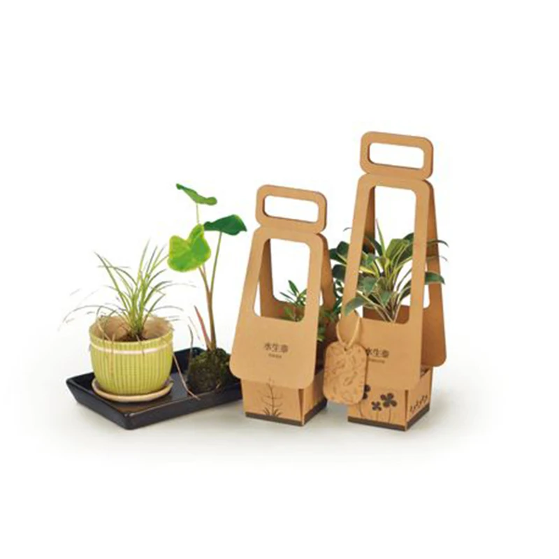 Recycled Rectangle Flower Custom Size Printing Live Corrugated Packaging Potted Indoor Plant Paper Boxes