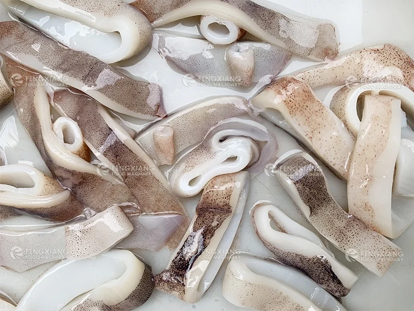 Taglierina per anelli di calamari FGB-118, affettatrice per calamari,  macchina per tagliare i calamari a cubetti