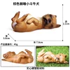 colorful M-939 Brown lying Bulldog