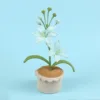 Blue mars blue wool potted plant
