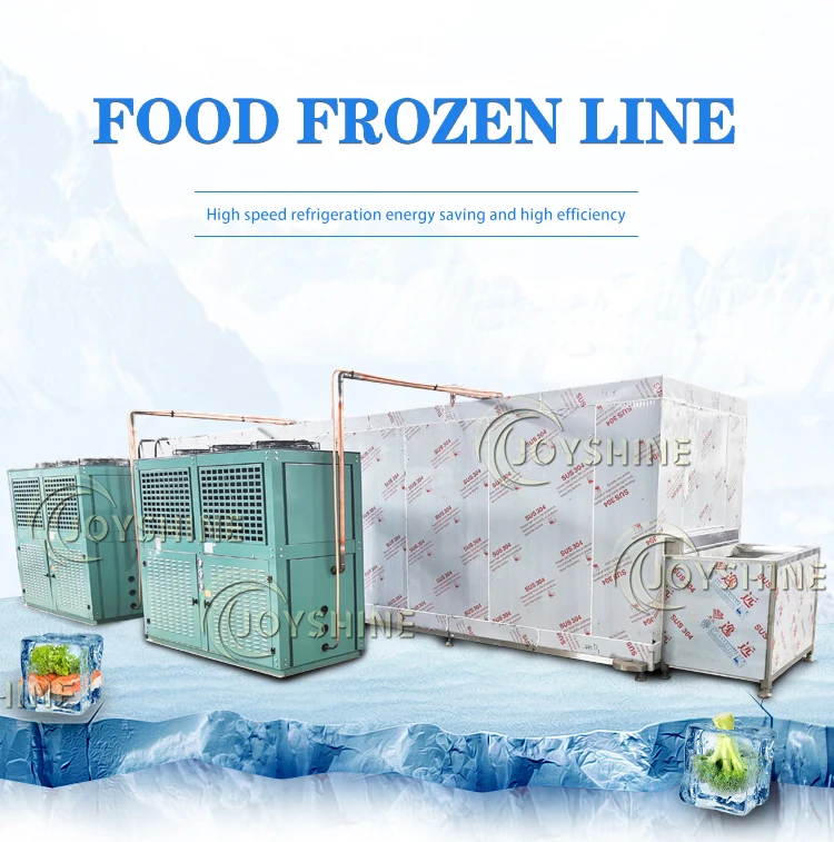 Blast Freezer, 220V, -40° - detail 2