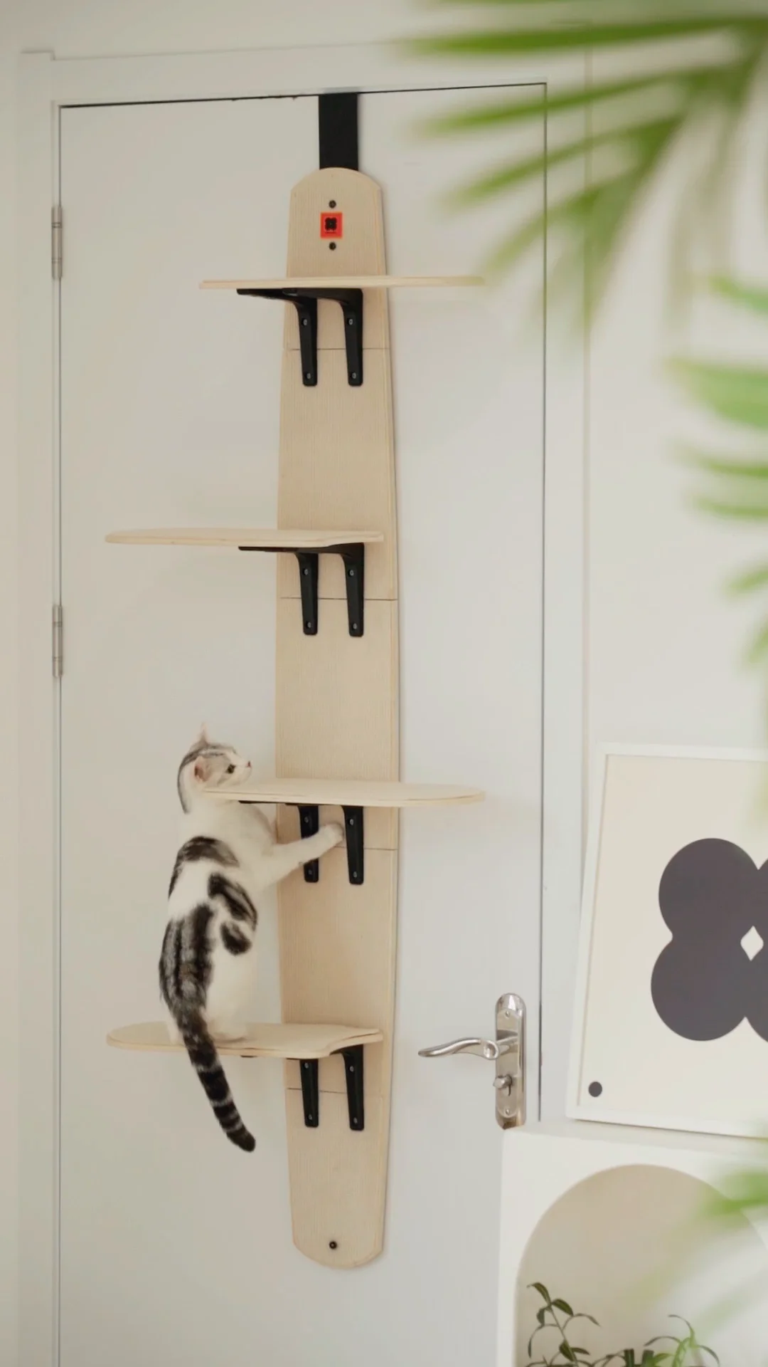 Mewoofun Large Design Multilevel Door Hanging Cat Tower Condo Tree Smart Cat Climber Buy