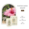 Jardin de Paris du lali (rêves de tissage de fleurs de cerf-volant) 50g