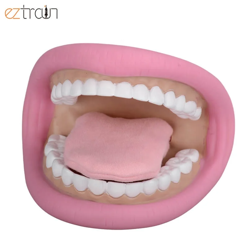 Custom PVC Hand Puppet With Teeth Movable Tongue Include Toothbrush Dental Model Mouth Puppet
