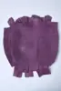 Pourpre