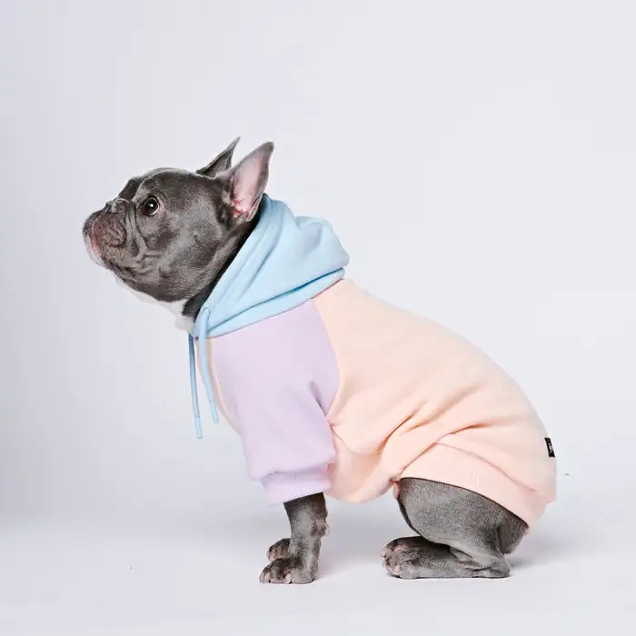 2022 Fashion 100 Cotton Candy Human Hoodies Puppy Mom Sweatshirts Matching Dog And Owner