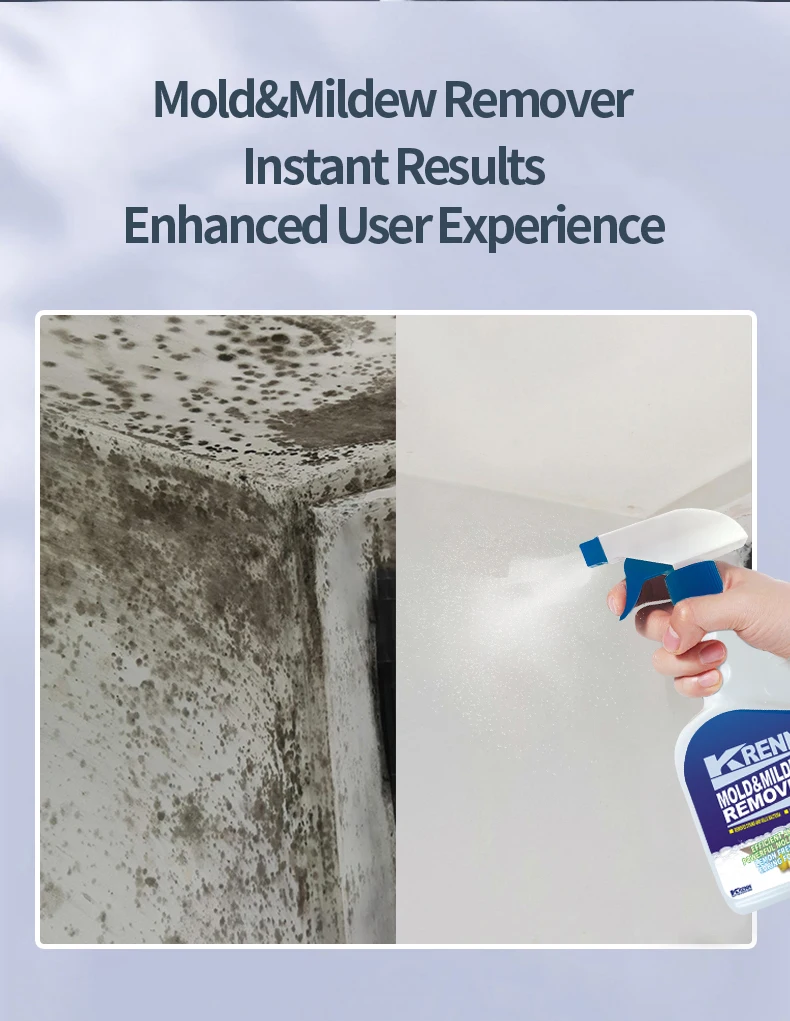 Customized Household Mold Remover Spray Antimildew Spray Wall Mildew