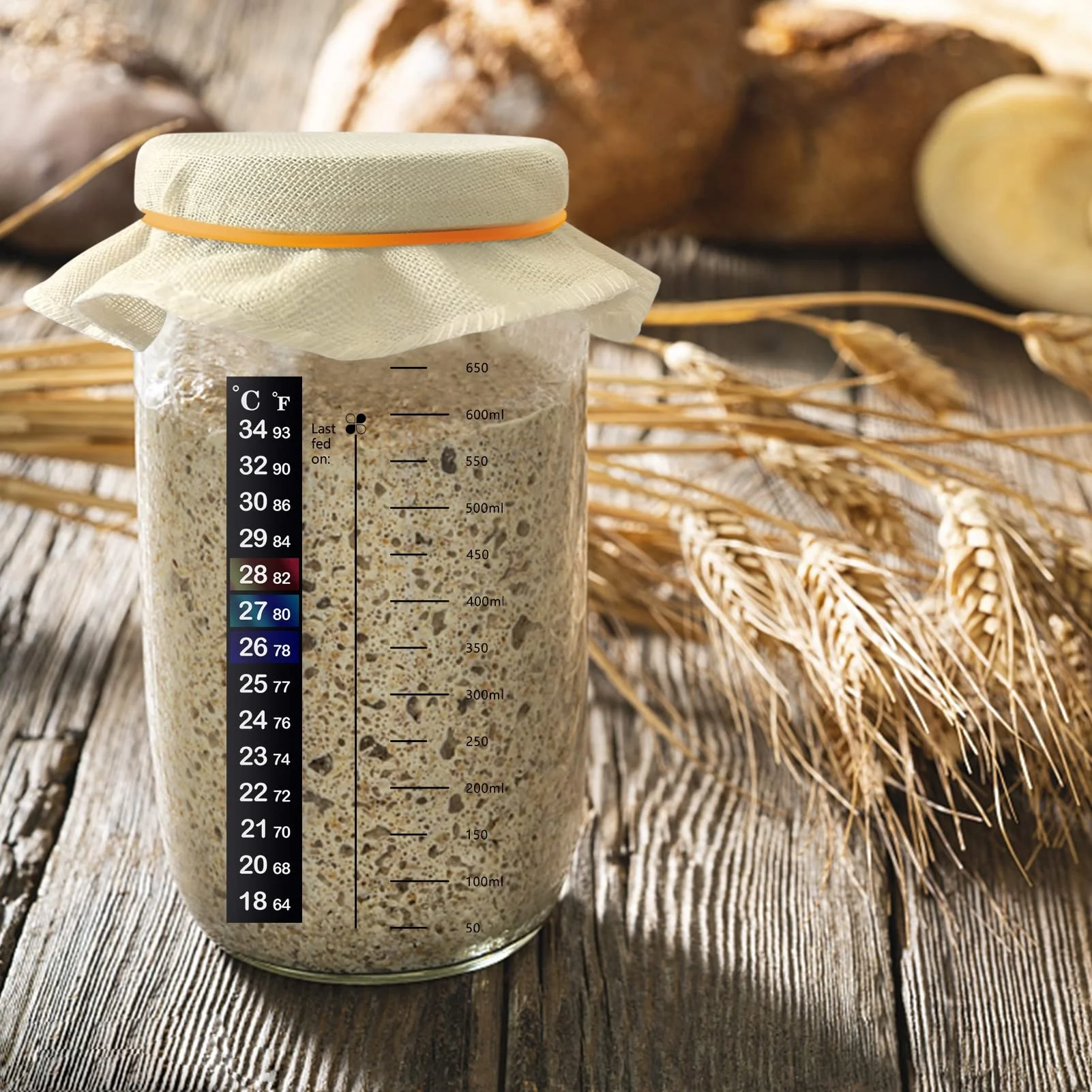 Sauerteig-Starter-Set Mit Glas, Holzschildkröte & Co. – Alles Für Gelungenes Sauerteigbrot