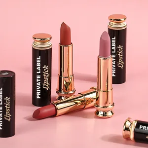 Premium Natural Matte Lipstick Set with Mineral Gel Creamy Lipstick Pencil Waterproof 2g Wholesale