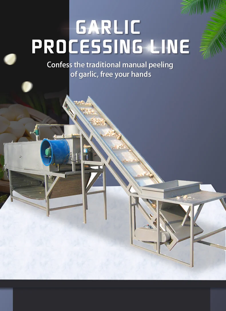 Xxd High Efficiency Onion Peeled Garlic Sorting Machine/line Production