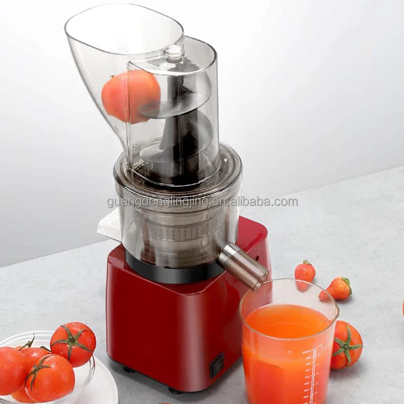 300W Cold Press Juicer Effortless Juicing with Auto Chute